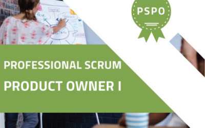 Agile Scrum PSPO1 (Professional Scrum Product Owner)